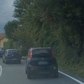 Incidente sulla Statale 28: traffico in tilt, un ferito