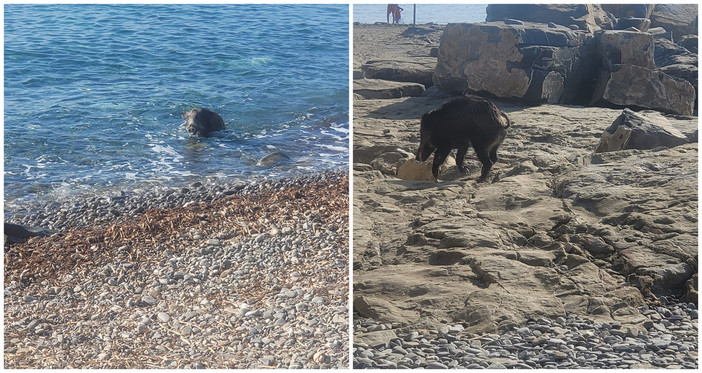 Foto di Giancarlo da San Lorenzo al Mare - Il Gruppo Foto di Giancarlo da San Lorenzo al Mare - Il Gruppo