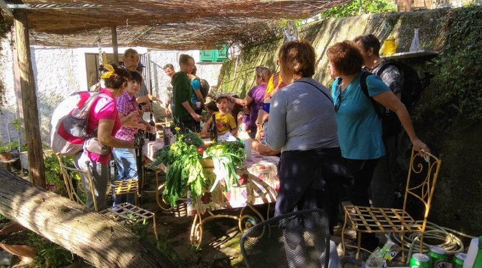 Il 30 ottobre, camminata alla scoperta del territorio e del paesaggio olivicolo del Comune di Castel Vittorio Il 30 ottobre, camminata alla scoperta del territorio e del paesaggio olivicolo del Comune di Castel Vittorio