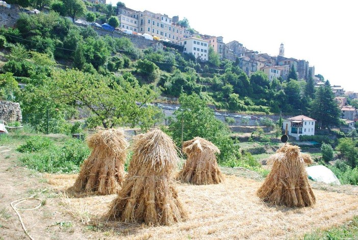 Triora: covoni di grano, una tradizione portata avanti da un residente secondo l'antica consuetudin