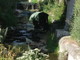 Il cassonetto quando era ancora nel rio Oliveto