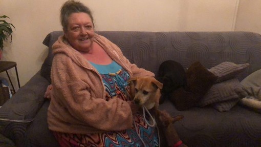 Ventimiglia, ritrovato il cagnolino Tito: era stato prelevato da alcuni truffatori durante la staffetta d'adozione