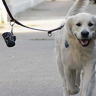 Ventimiglia: animali a passeggio, ma in modo responsabile. Allo studio dell’Amministrazione un’ordinanza restrittiva per i proprietari dei cani