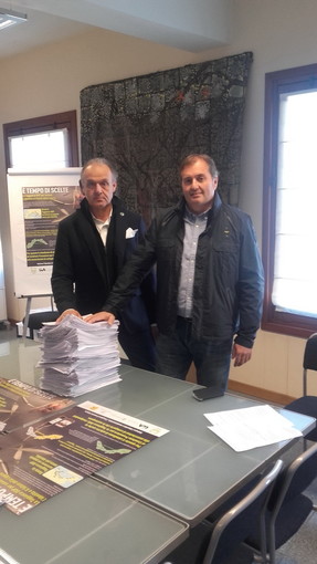 La Taggiasca DOP per salvare l'identità e il futuro della Liguria, ecco la scelta del Comitato Promotore della Taggiasca