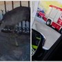Vallecrosia al Mare, capriolo intrappolato in un cancello: salvato dai vigili del fuoco e da Ambulanze Veterinarie