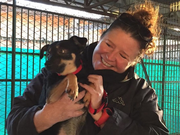 Camporosso: i cani di Giacomo Scotto tornano a Santa Croce. "Blitz" dei volontari del Comune