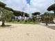 Intrattenimento e leccornie, "Happy Halloween" ai giardini pubblici di Ventimiglia (Foto) Intrattenimento e leccornie, "Happy Halloween" ai giardini pubblici di Ventimiglia (Foto)