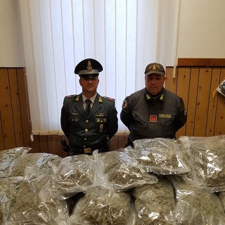 Ventimiglia: cani antidroga trovano oltre 42 kg di marijuana nascosta in un camion, arrestati due romeni