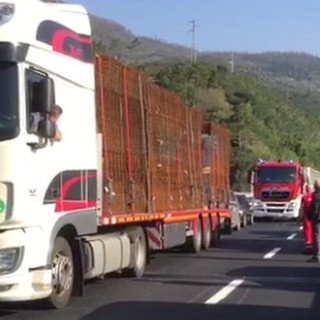 Code chilometriche sull'A10 nella zona di Genova per il ribaltamento di un mezzo pesante, nessun ferito