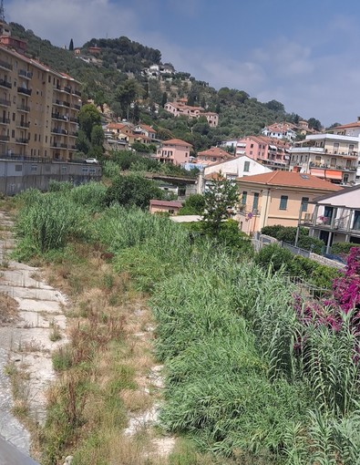 Imperia, il Caramagna invaso dalla vegetazione: residenti della Fondura preoccupati