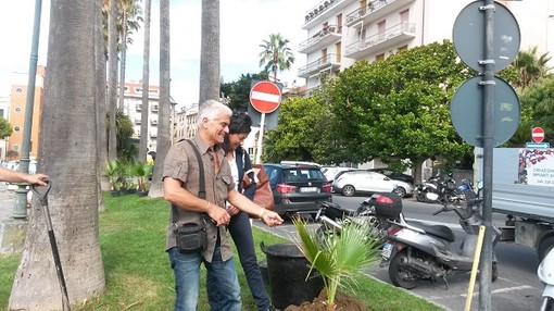 Consegnate questa mattina trenta palme nell'ambito del progetto Gerico per la salvaguardia delle piante contro il punteruolo rosso Consegnate questa mattina trenta palme nell'ambito del progetto Gerico per la salvaguardia delle piante contro il punteruolo rosso