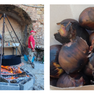 Caldarroste, musica e divertimento: la Castagnata anima Perinaldo (Foto)
