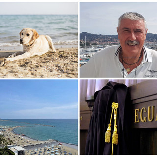 Diano Marina: cani sulle spiagge libere, Chiappori apre al dialogo: "Mi facciano delle proposte e le valuteremo insieme"