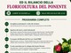 Sanremo, il Mercato dei Fiori ospita un convegno dedicato al futuro del settore