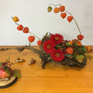 I risultati e le immagini del Concorso annuale d'arte floreale a Nizza presso il Parco Phoenix