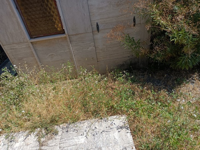 Sanremo, "degrado al cimitero di Armea": la segnalazione (Foto) Sanremo, "degrado al cimitero di Armea": la segnalazione (Foto)