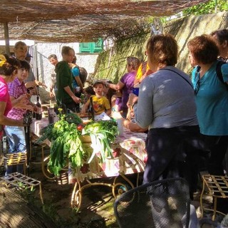 Il 30 ottobre, camminata alla scoperta del territorio e del paesaggio olivicolo del Comune di Castel Vittorio