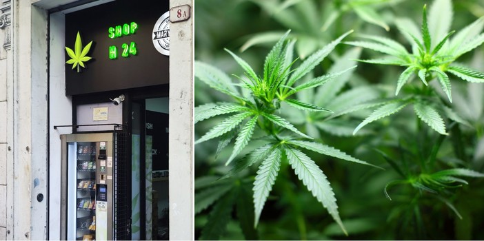 Canapa legale, stop alla vendita in tutta Italia: a rischio decine di attività in Riviera. “Colpiti e feriti da una decisione ingiusta”