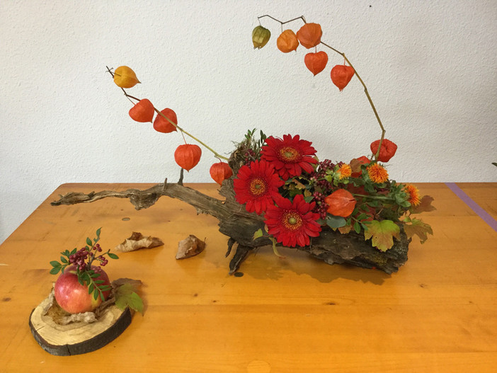 I risultati e le immagini del Concorso annuale d'arte floreale a Nizza presso il Parco Phoenix