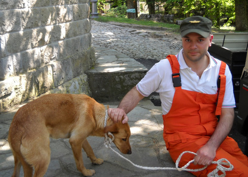 Cani ritrovati dai Rangers a San Romolo: intervento del nostro lettore Fabio Cani ritrovati dai Rangers a San Romolo: intervento del nostro lettore Fabio