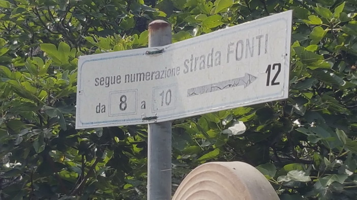 Sanremo: cinghiali devastano via Delle Fonti a Bussana, la segnalazione con foto di un residente