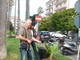 Consegnate questa mattina trenta palme nell'ambito del progetto Gerico per la salvaguardia delle piante contro il punteruolo rosso