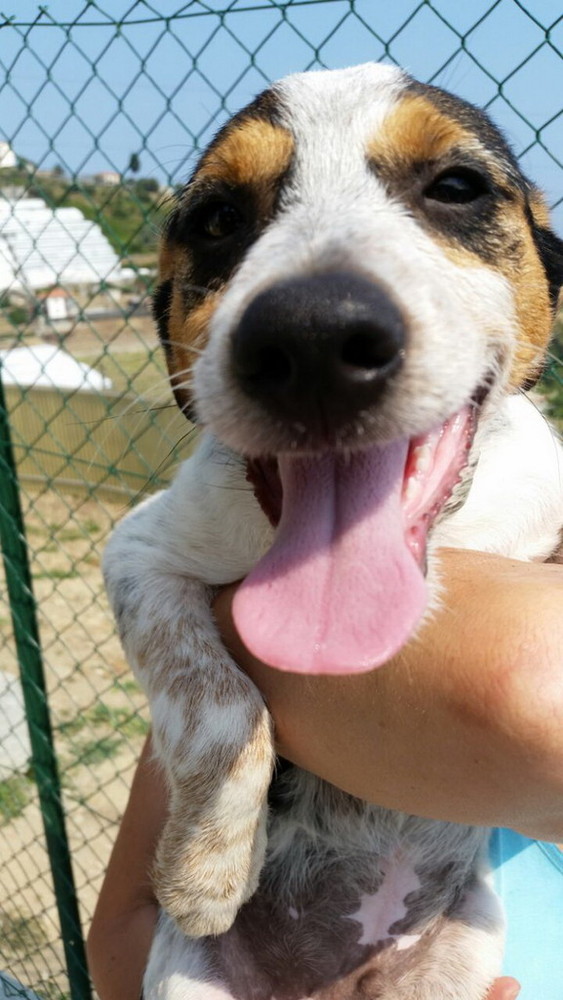 (immagine d'archivio)