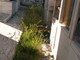 Sanremo: degrado tra le tombe del cimitero di Valle Armea, la segnalazione con foto di un cittadino Sanremo: degrado tra le tombe del cimitero di Valle Armea, la segnalazione con foto di un cittadino