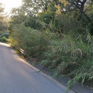 Sanremo, la denuncia del Sinappe: "La strada che porta al carcere di valle Armea è a forte rischio" (foto)