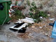 Ventimiglia: degrado all'isola ecologica nei pressi di Porta Canarda, la segnalazione con foto di un residente