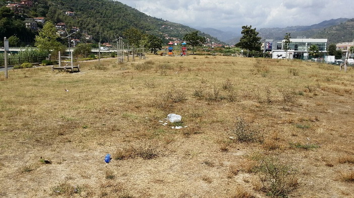 Le immagini del degrado del verde pubblico Le immagini del degrado del verde pubblico