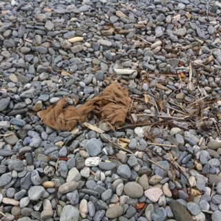 Ventimiglia: stato di degrado e sporcizia di alcune spiagge, la segnalazione con foto di un lettore