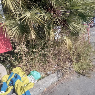 Sanremo: degrado e senso di abbandono in corso Marconi, la viva protesa di un residente Sanremo: degrado e senso di abbandono in corso Marconi, la viva protesa di un residente
