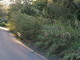 Sanremo, la denuncia del Sinappe: "La strada che porta al carcere di valle Armea è a forte rischio" (foto)