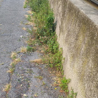 Sanremo: situazione dei marciapiedi di via Vesco, un residente ne segnala il degrado (foto) Sanremo: situazione dei marciapiedi di via Vesco, un residente ne segnala il degrado (foto)
