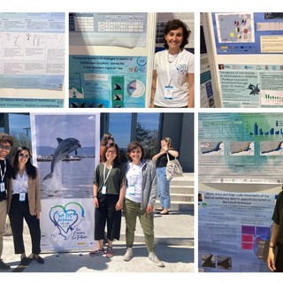 Missione in Spagna per il team di biologi e ricercatori dell’Associazione Delfini del Ponente Missione in Spagna per il team di biologi e ricercatori dell’Associazione Delfini del Ponente