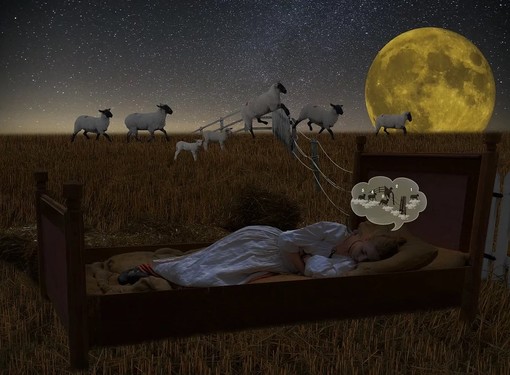Dormire bene allunga la vita: il miglior materasso e le sue regole Dormire bene allunga la vita: il miglior materasso e le sue regole