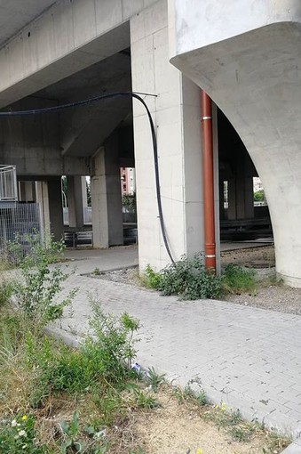 Imperia: degrado nel parcheggio della stazione ferroviaria, la denuncia di un nostro lettore "Situazione disgustosa e incivile" (foto) Imperia: degrado nel parcheggio della stazione ferroviaria, la denuncia di un nostro lettore "Situazione disgustosa e incivile" (foto)