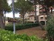 Ventimiglia: erba alta e incuria nella zona 'pineta mare', i residenti chiedono un intervento del Comune “Non pulisce nessuno, chi deve occuparsene?” (Foto)