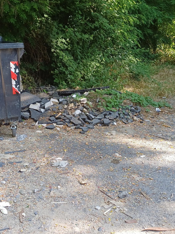 Sanremo: asfalto abbandonato nel bosco a San Romolo, un Lettore interroga il comune sulla coerenza Sanremo: asfalto abbandonato nel bosco a San Romolo, un Lettore interroga il comune sulla coerenza