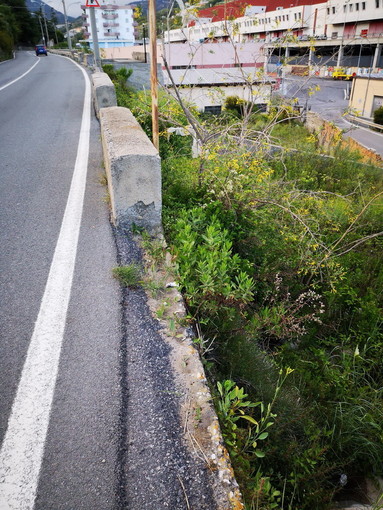Sanremo: mancanza di protezione a lato della strada in valle Armea, la segnalazione con foto di una lettrice Sanremo: mancanza di protezione a lato della strada in valle Armea, la segnalazione con foto di una lettrice