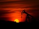 Osservatorio uBroker per l’Energia “Ecco i possibili disagi da razionamento” Osservatorio uBroker per l’Energia “Ecco i possibili disagi da razionamento”