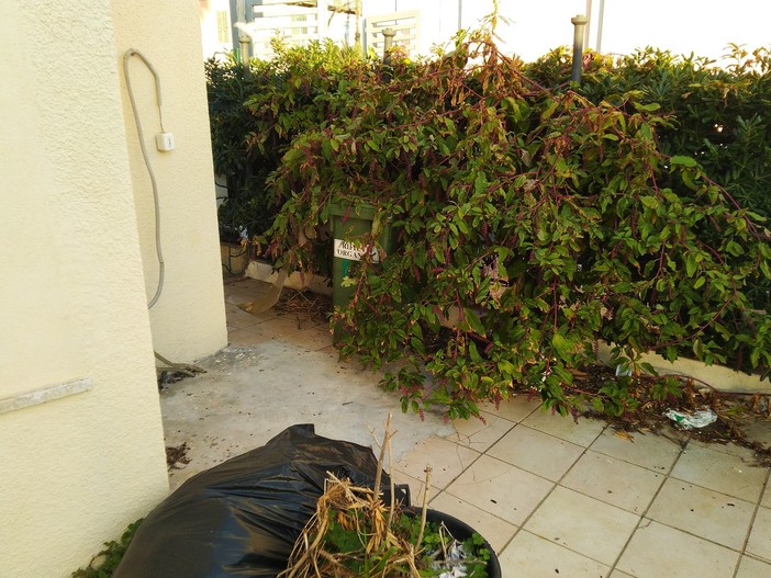Bordighera, la denuncia di un nostro lettore: "La stazione per l'ennesima volta nel degrado e nella sporcizia" (Foto)