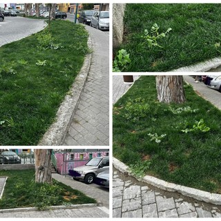 SìAmo Camporosso: "Parcheggi eliminati e aiuole nel degrado in piazza D'Armi, serve intervento immediato" (Foto)