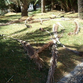 Sanremo: degrado ai giardini della Villa Ormond, il foto servizio di un lettore