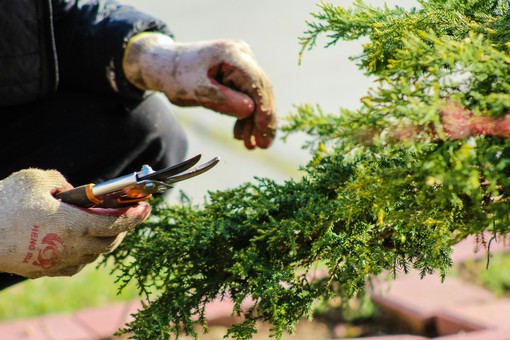 Verde e natura, per rigenerarsi Verde e natura, per rigenerarsi