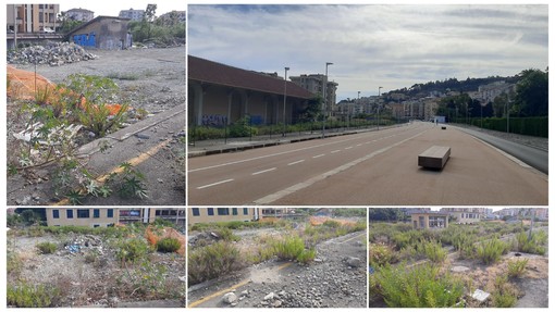 Imperia, degrado vicino alla nuova pista: la protesta dei cicloturisti Imperia, degrado vicino alla nuova pista: la protesta dei cicloturisti
