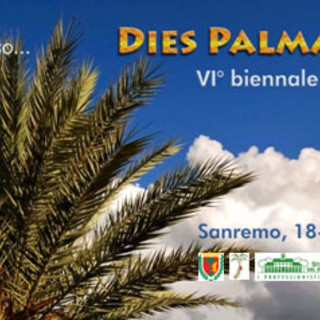 Sanremo: dal 18 al 20 novembre torna 'Dies Palmarum', il meeting europeo sulle palm