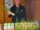 Camporosso: la terra della cipolla egiziana, un prodotto dell’Arca del Gusto Slow Food (foto) Camporosso: la terra della cipolla egiziana, un prodotto dell’Arca del Gusto Slow Food (foto)