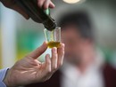 Entroterra ligure, Pigna celebra l'eccellenza dell'olio extravergine (Foto)